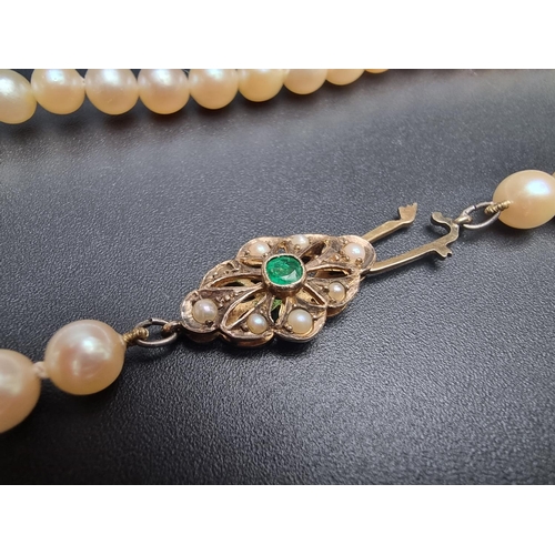 189 - A freshwater pearl choker necklace, having 9ct gold clasp, set one emerald and seven split pearls, 3... 