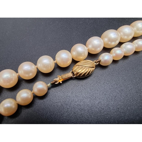 214 - A graduated pearl necklace, with 9ct gold clasp, 63cm.