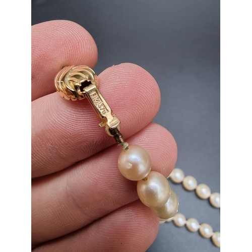 214 - A graduated pearl necklace, with 9ct gold clasp, 63cm.