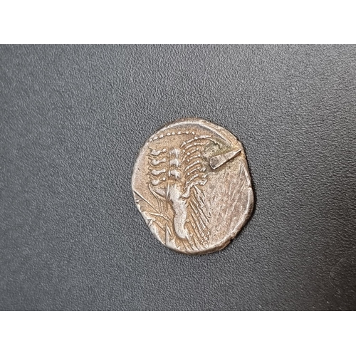 292 - Coins: a Roman Republic C. Vibius C.f. Pansa (90 BC) AR Denarius, Rome, Quadriga, 23mm, 3.6g.... 