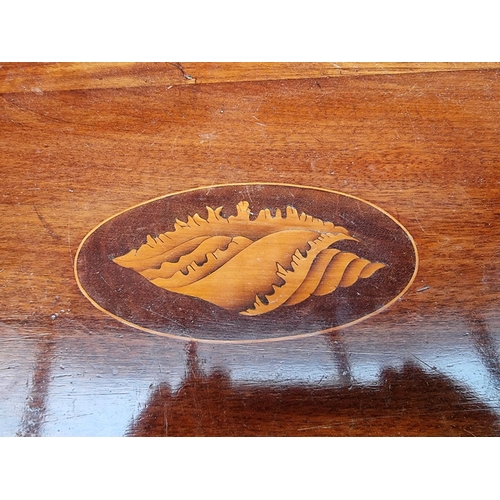 1019 - An Edwardian mahogany, satinwood and inlaid oval tray, 59.5cm wide.