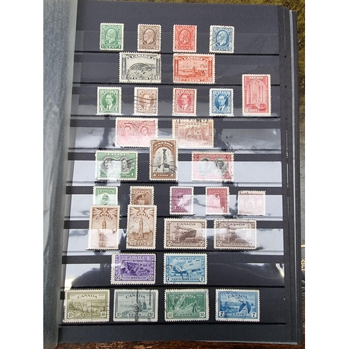 1511 - Stamps: a collection of albums and stockbooks. 