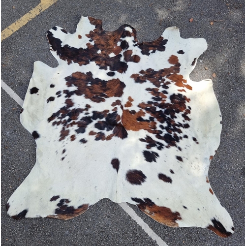 1692 - A cow hide, 213 x 185cm.