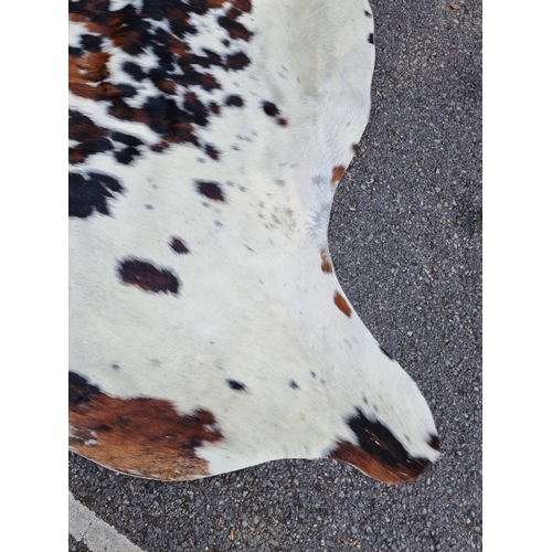 1692 - A cow hide, 213 x 185cm.