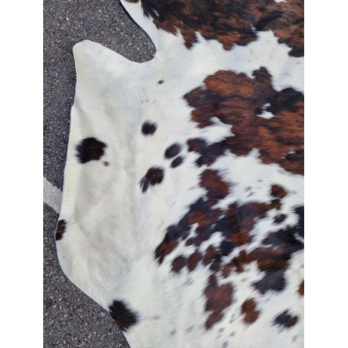 1692 - A cow hide, 213 x 185cm.