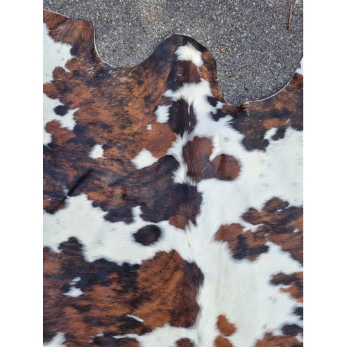 1692 - A cow hide, 213 x 185cm.