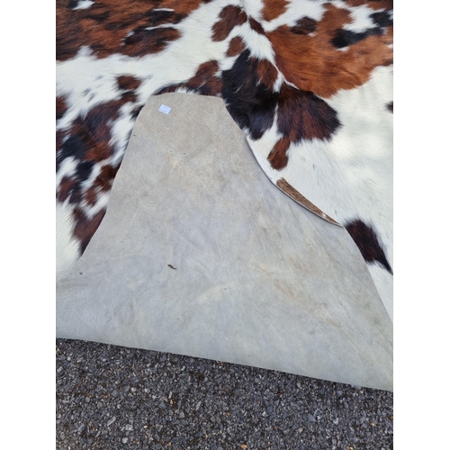 1692 - A cow hide, 213 x 185cm.