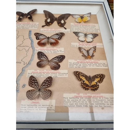 1734 - Taxidermy: seven cases of butterflies, moths, beetles, and other invertebrates, largest 44 x 64... 