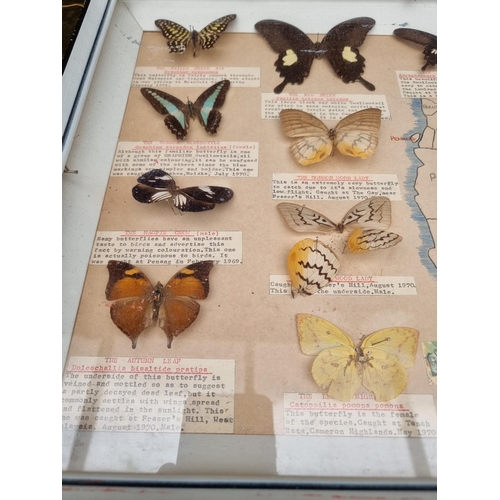 1734 - Taxidermy: seven cases of butterflies, moths, beetles, and other invertebrates, largest 44 x 64... 