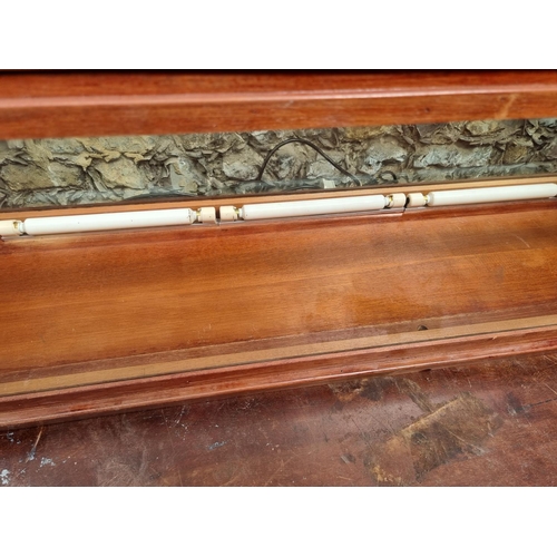 1744 - A large stained wood display case, 41cm high x 133cm wide x 35cm deep.