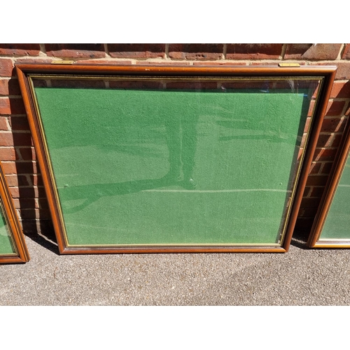 1747 - Four mahogany wall display boards, to include a pair, aperture of largest 81 x 132cm, with green bai... 