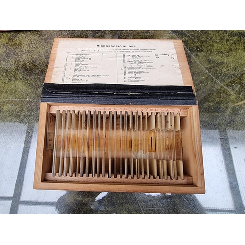 1177 - Forty microscope slides, in pine box, together with a slide viewer, by Baker, cased. ... 