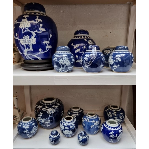 1209 - Fifteen Chinese blue and white ginger jars, five with covers, largest 27cm high. ... 