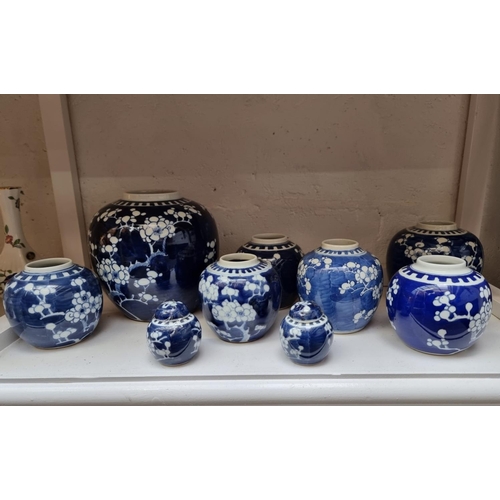 1209 - Fifteen Chinese blue and white ginger jars, five with covers, largest 27cm high. ... 