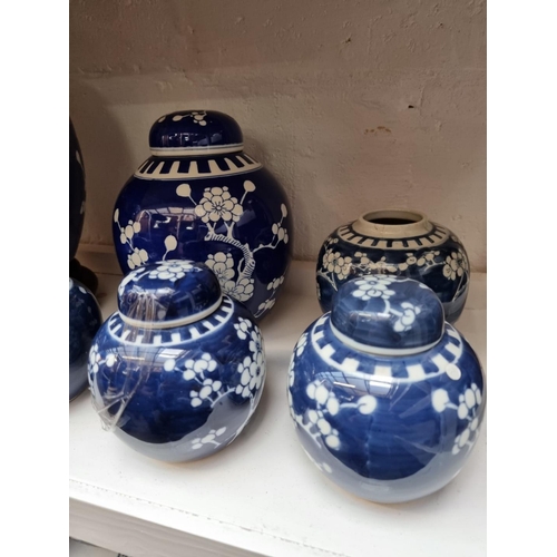 1209 - Fifteen Chinese blue and white ginger jars, five with covers, largest 27cm high. ... 