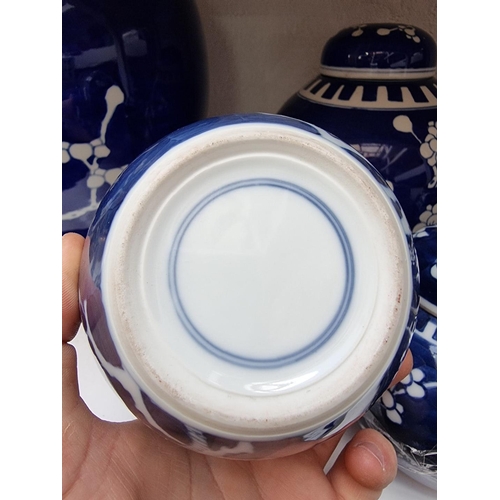 1209 - Fifteen Chinese blue and white ginger jars, five with covers, largest 27cm high. ... 