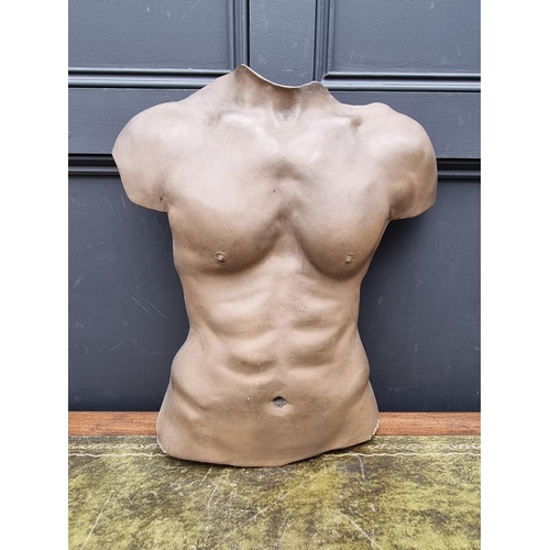 1333 - A bronzed fibreglass male torso, lifesize.