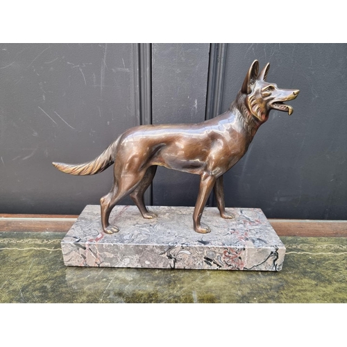 1409 - An Art Deco style bronze Alsatian, on marble base, 27cm high.