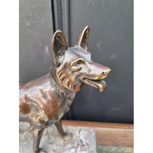 1409 - An Art Deco style bronze Alsatian, on marble base, 27cm high.