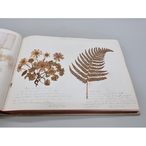 529 - DRIED FLOWER ALBUM: album of dried flower arrangements collected from around Europe 1866. 52pp ... 