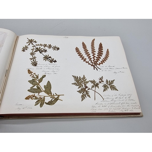 529 - DRIED FLOWER ALBUM: album of dried flower arrangements collected from around Europe 1866. 52pp ... 