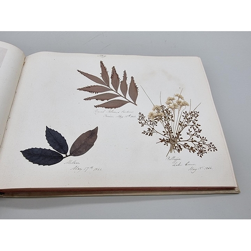 529 - DRIED FLOWER ALBUM: album of dried flower arrangements collected from around Europe 1866. 52pp ... 