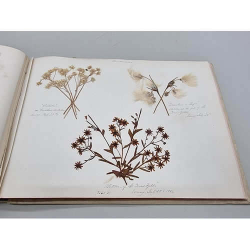 529 - DRIED FLOWER ALBUM: album of dried flower arrangements collected from around Europe 1866. 52pp ... 