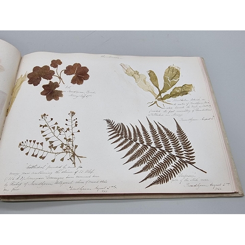 529 - DRIED FLOWER ALBUM: album of dried flower arrangements collected from around Europe 1866. 52pp ... 