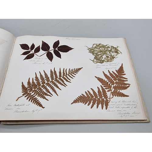 529 - DRIED FLOWER ALBUM: album of dried flower arrangements collected from around Europe 1866. 52pp ... 