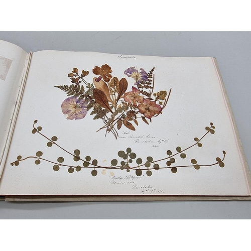 529 - DRIED FLOWER ALBUM: album of dried flower arrangements collected from around Europe 1866. 52pp ... 