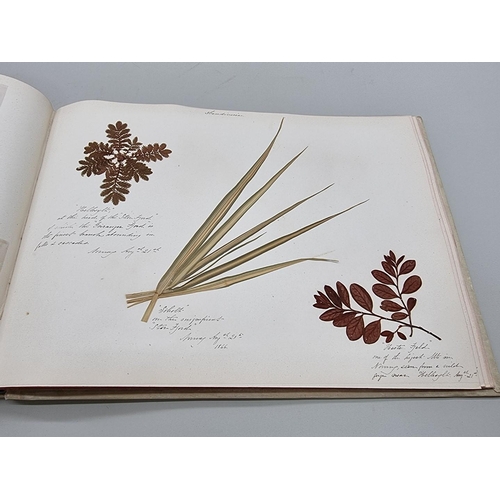 529 - DRIED FLOWER ALBUM: album of dried flower arrangements collected from around Europe 1866. 52pp ... 