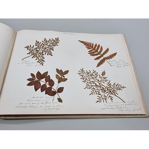 529 - DRIED FLOWER ALBUM: album of dried flower arrangements collected from around Europe 1866. 52pp ... 