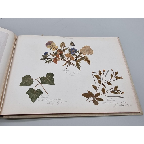 529 - DRIED FLOWER ALBUM: album of dried flower arrangements collected from around Europe 1866. 52pp ... 