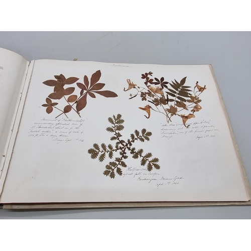 529 - DRIED FLOWER ALBUM: album of dried flower arrangements collected from around Europe 1866. 52pp ... 