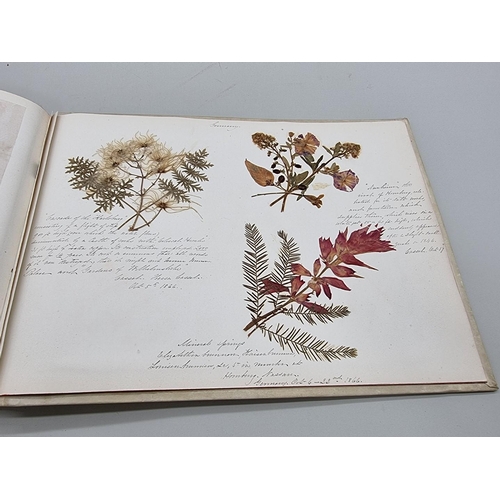 529 - DRIED FLOWER ALBUM: album of dried flower arrangements collected from around Europe 1866. 52pp ... 