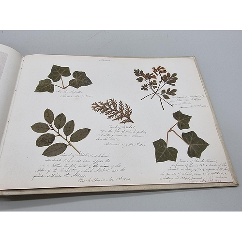 529 - DRIED FLOWER ALBUM: album of dried flower arrangements collected from around Europe 1866. 52pp ... 