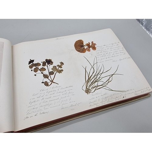 529 - DRIED FLOWER ALBUM: album of dried flower arrangements collected from around Europe 1866. 52pp ... 