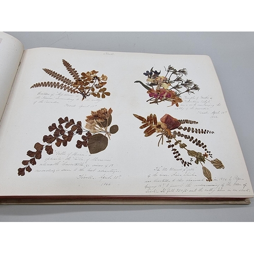 529 - DRIED FLOWER ALBUM: album of dried flower arrangements collected from around Europe 1866. 52pp ... 