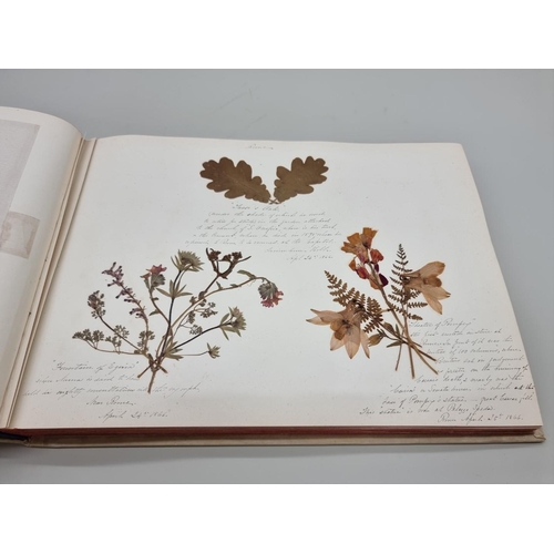 529 - DRIED FLOWER ALBUM: album of dried flower arrangements collected from around Europe 1866. 52pp ... 