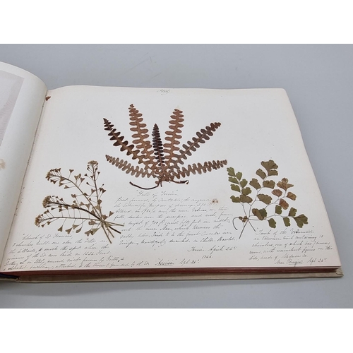 529 - DRIED FLOWER ALBUM: album of dried flower arrangements collected from around Europe 1866. 52pp ... 