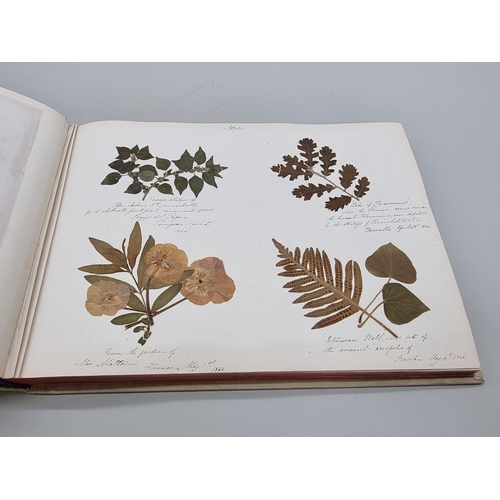 529 - DRIED FLOWER ALBUM: album of dried flower arrangements collected from around Europe 1866. 52pp ... 