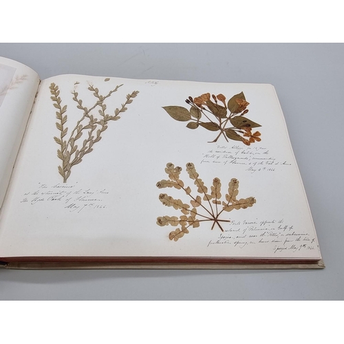 529 - DRIED FLOWER ALBUM: album of dried flower arrangements collected from around Europe 1866. 52pp ... 