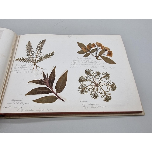 529 - DRIED FLOWER ALBUM: album of dried flower arrangements collected from around Europe 1866. 52pp ... 