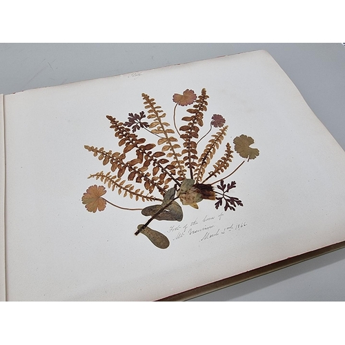 529 - DRIED FLOWER ALBUM: album of dried flower arrangements collected from around Europe 1866. 52pp ... 