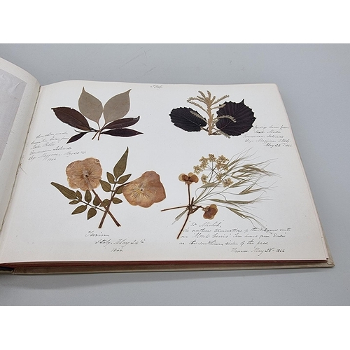 529 - DRIED FLOWER ALBUM: album of dried flower arrangements collected from around Europe 1866. 52pp ... 