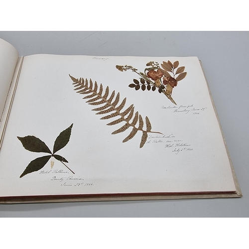 529 - DRIED FLOWER ALBUM: album of dried flower arrangements collected from around Europe 1866. 52pp ... 