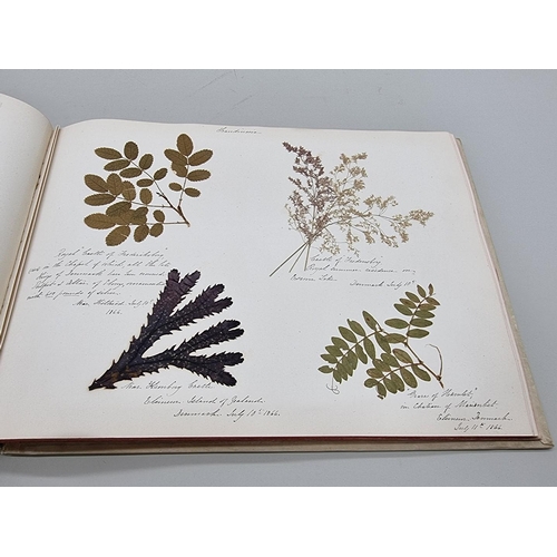 529 - DRIED FLOWER ALBUM: album of dried flower arrangements collected from around Europe 1866. 52pp ... 