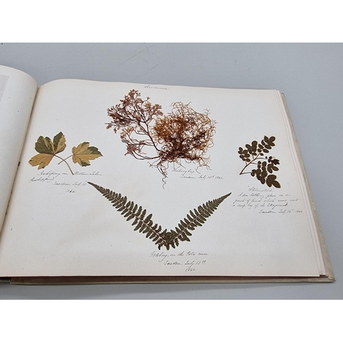 529 - DRIED FLOWER ALBUM: album of dried flower arrangements collected from around Europe 1866. 52pp ... 