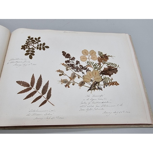 529 - DRIED FLOWER ALBUM: album of dried flower arrangements collected from around Europe 1866. 52pp ... 