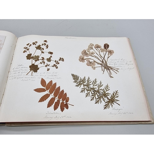 529 - DRIED FLOWER ALBUM: album of dried flower arrangements collected from around Europe 1866. 52pp ... 